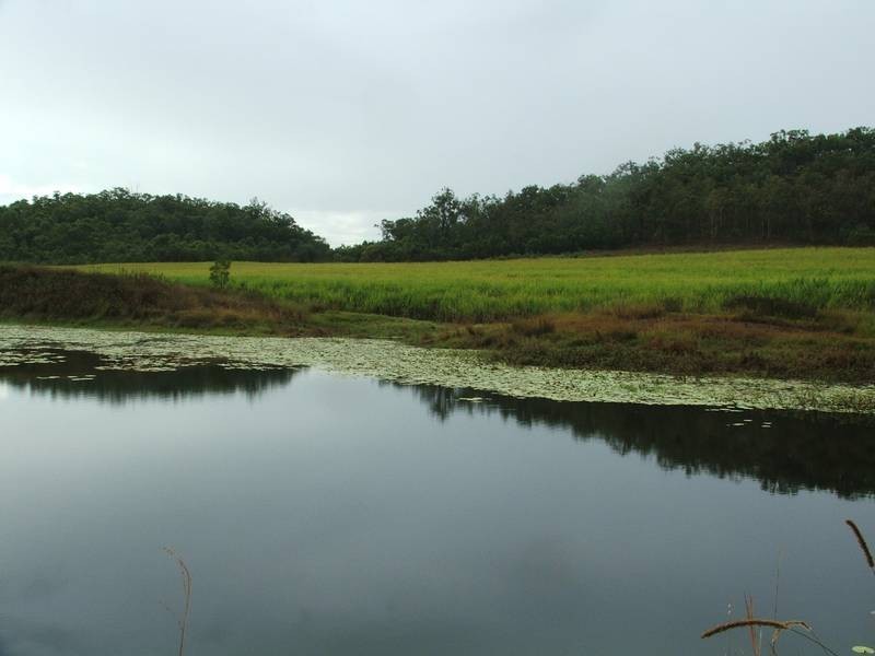 Lot 2 & 53 Cone Creek Road, Koumala QLD 4738