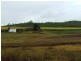 Lot 2 & 53 Cone Creek Road, Koumala QLD 4738