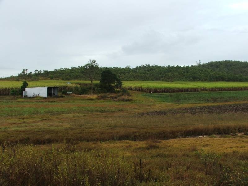 Lot 2 & 53 Cone Creek Road, Koumala QLD 4738