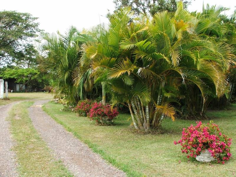 Lot 2 & 53 Cone Creek Road, Koumala QLD 4738