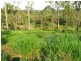 20 Minutes from, Sarina QLD 4737