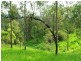 20 Minutes from, Sarina QLD 4737