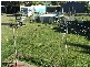 31 Brown Street, Koumala QLD 4738