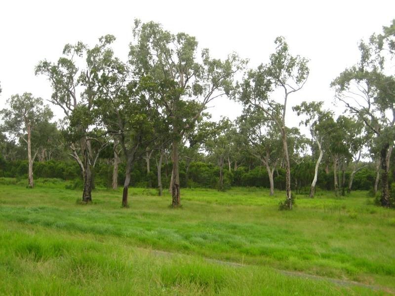 Lot 8 Coral Reef Court, Sarina QLD 4737