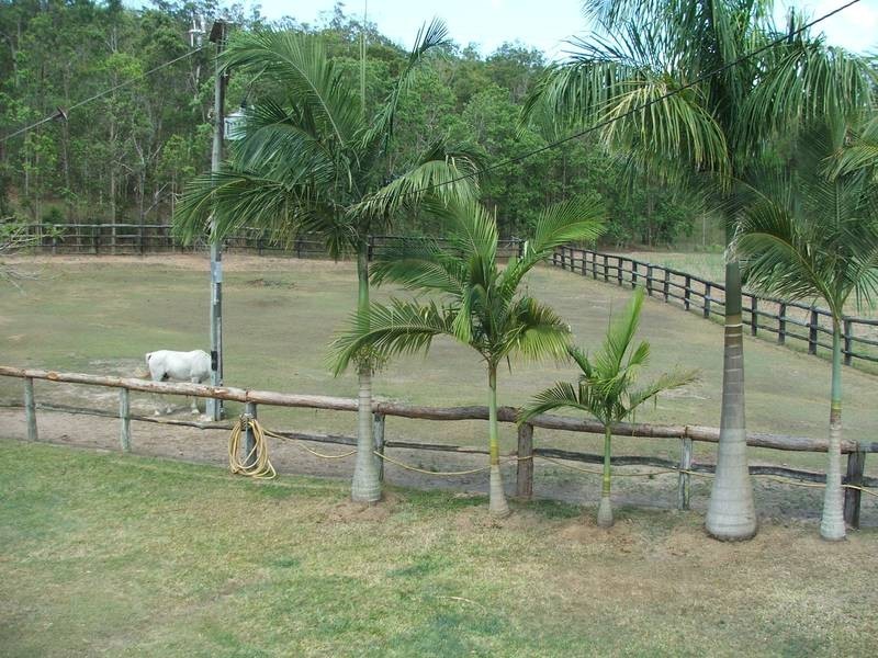 Lot 10 McGills Road, Kuttabul QLD 4741