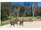 18 Links Crescent, Port Macquarie NSW 2444