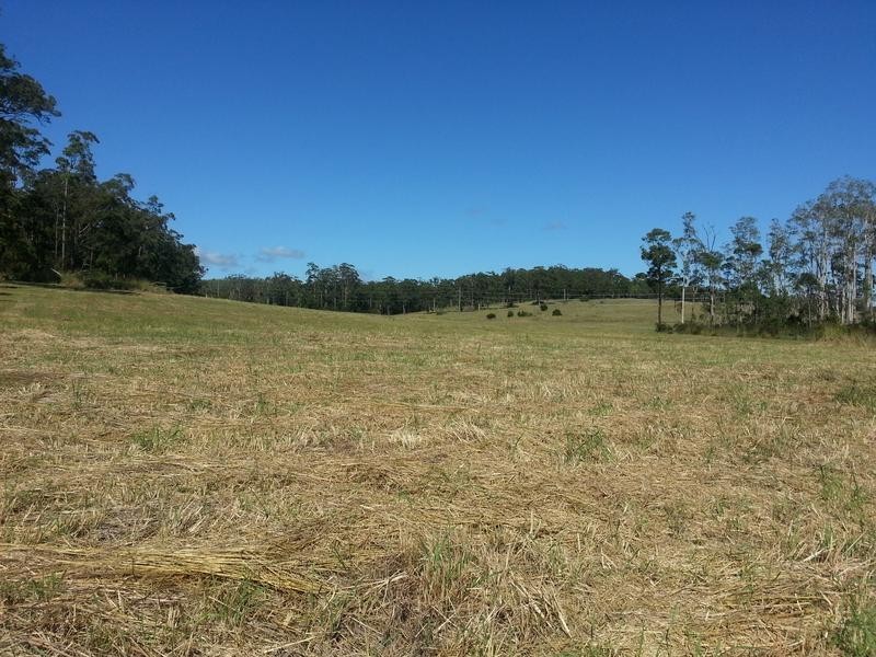 0 Fernbank Creek Road, Port Macquarie NSW 2444