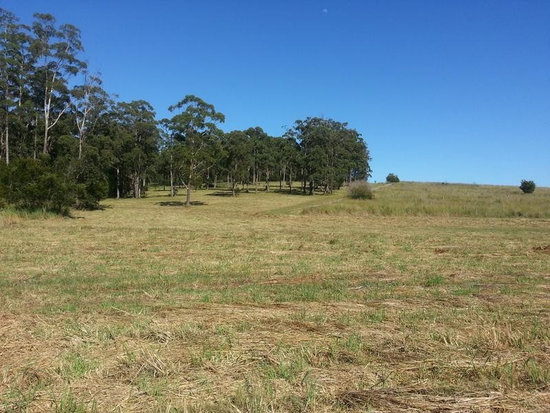 0 Fernbank Creek Road, Port Macquarie NSW 2444