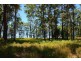Lot 2, 5 The Ruins Way, Port Macquarie NSW 2444