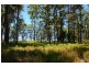 Lot 1, 5 The Ruins Way, Port Macquarie NSW 2444