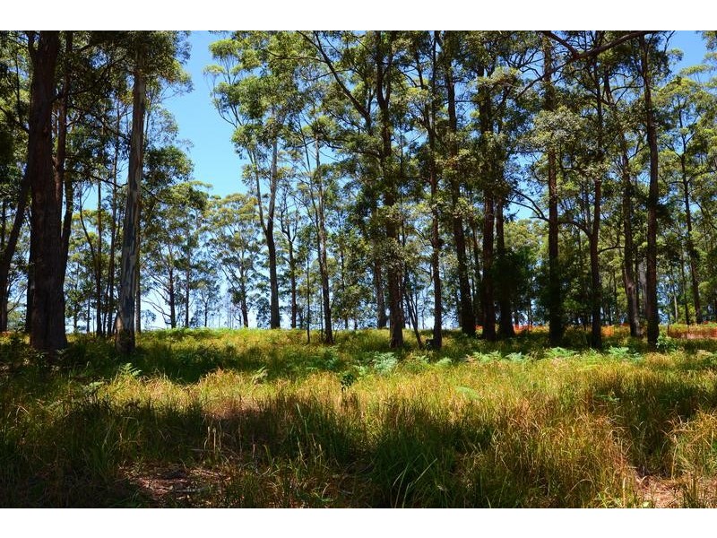 Lot 1, 5 The Ruins Way, Port Macquarie NSW 2444