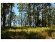 Lot 219, Lot 28 The Ruins Way, Port Macquarie NSW 2444