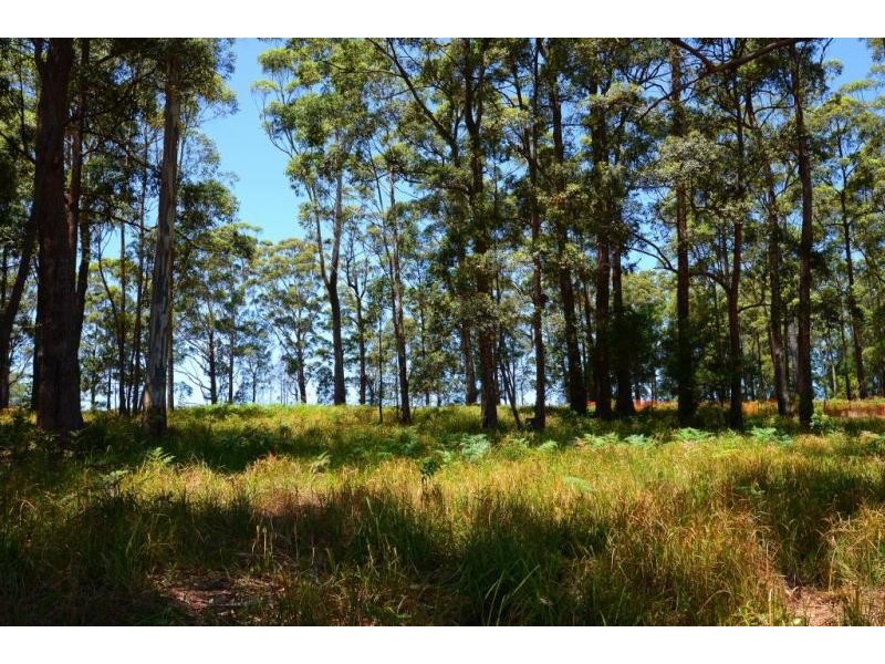 Lot 219, Lot 28 The Ruins Way, Port Macquarie NSW 2444