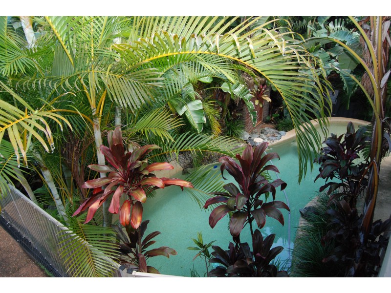 37 Jonas Absalom Drive, Port Macquarie NSW 2444