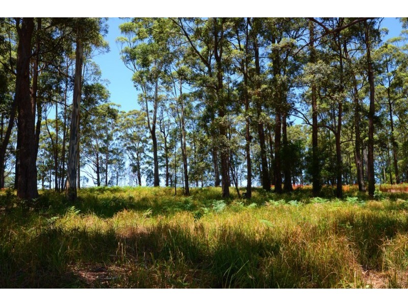 1/6 Power Street, Port Macquarie NSW 2444