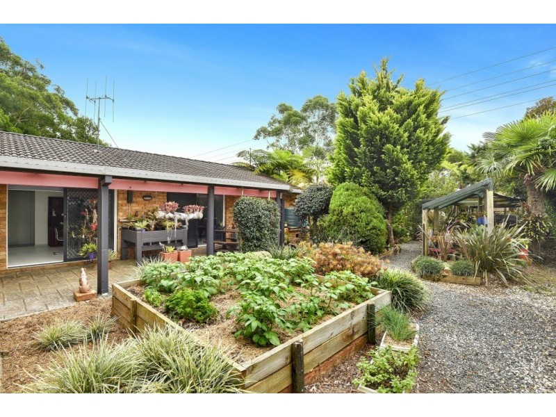 11 Coucal Close, Port Macquarie NSW 2444