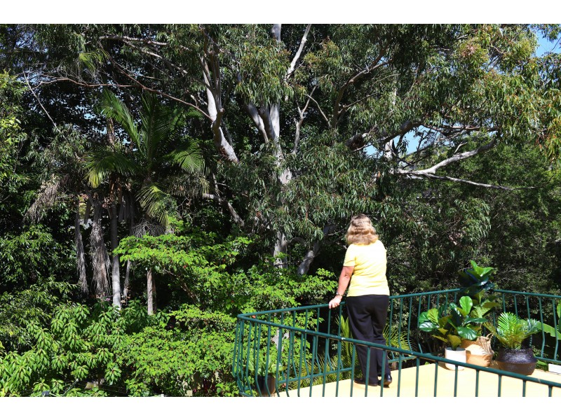 6 Grandview Parade, Port Macquarie NSW 2444