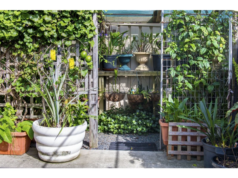 4/20 Sherwood Road, Port Macquarie NSW 2444