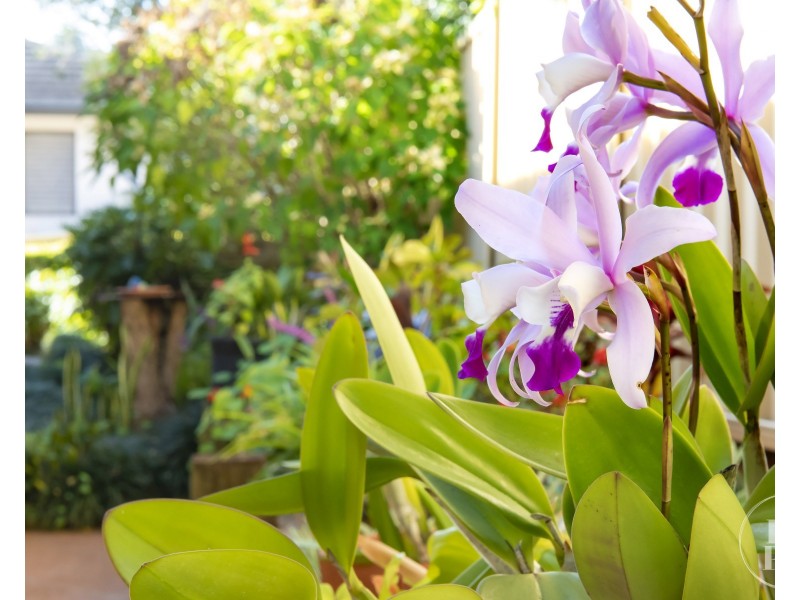 4/37 Celestial Way, Port Macquarie NSW 2444