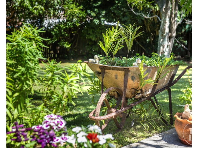 77 Hamlyn Drive, Port Macquarie NSW 2444