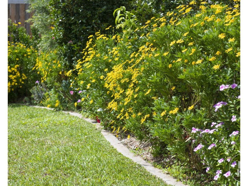 16 Coucal Close, Port Macquarie NSW 2444