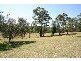 Wauchope NSW 2446