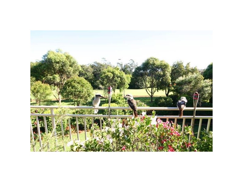 Port Macquarie NSW 2444