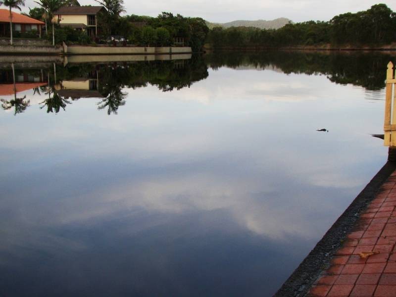 43 Andrew Av, Pottsville NSW 2489