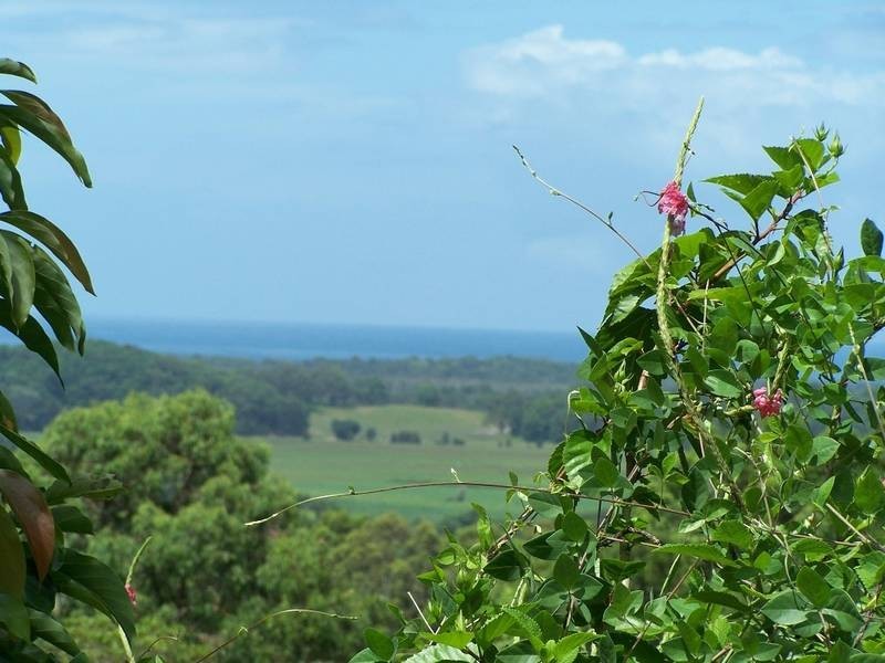 330 Pottsville Road, Pottsville NSW 2489