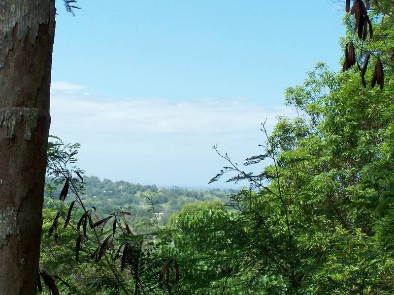 330 Pottsville Road, Pottsville NSW 2489