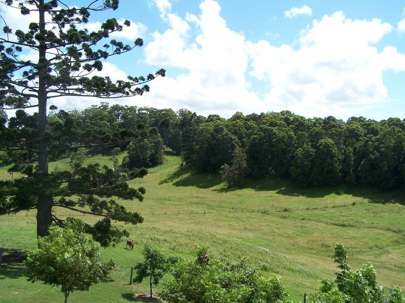 1800 Reserve Creek Road, Pottsville NSW 2489