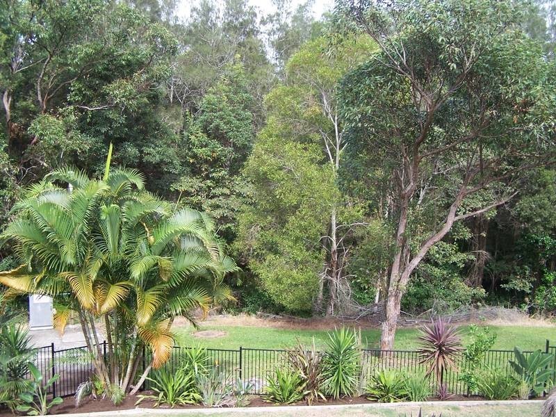 5 Sassafrass Street, Pottsville NSW 2489