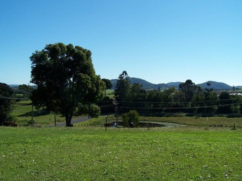 HAZELWOOD DRIVE, Pottsville NSW 2489