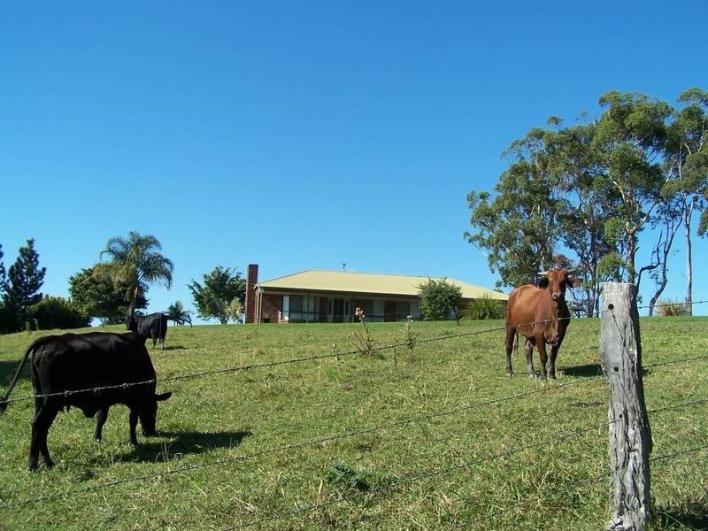 HAZELWOOD DRIVE, Pottsville NSW 2489