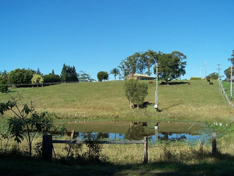 HAZELWOOD DRIVE, Pottsville NSW 2489