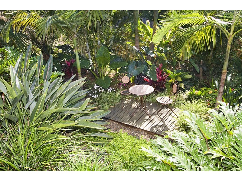 15 Euodia Street, Pottsville NSW 2489