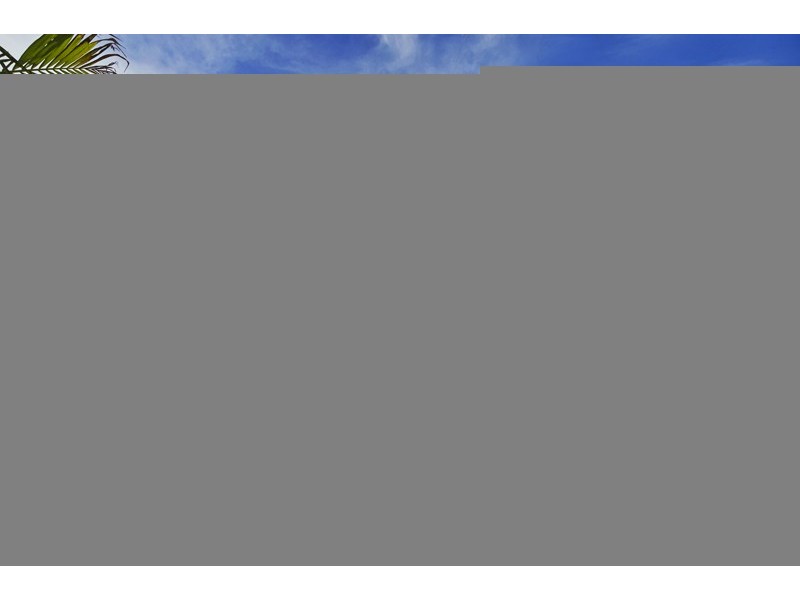 40 Kellehers Road, Pottsville NSW 2489