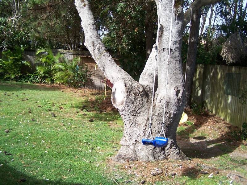 71 ELANORA AVENUE, Pottsville Beach NSW 2489