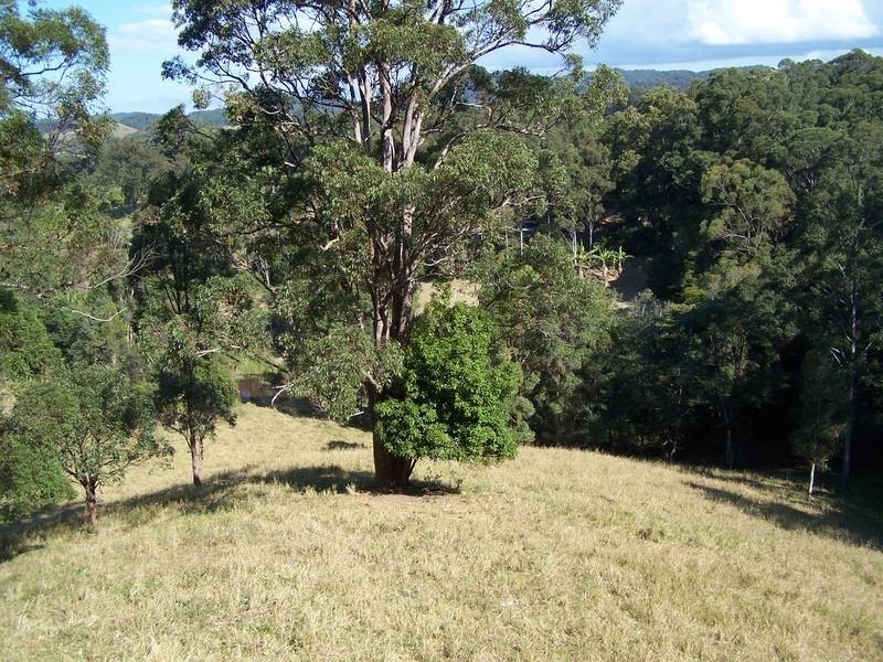 921 Round Mountain Rd, Cabarita Beach NSW 2488