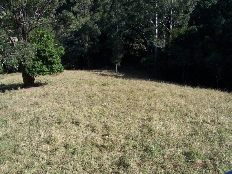 921 Round Mountain Rd, Cabarita Beach NSW 2488