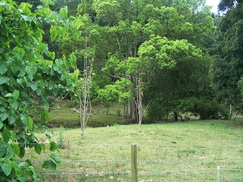 Lot 224, 3 Sleepy Hollow Road, Sleepy Hollow NSW 2483