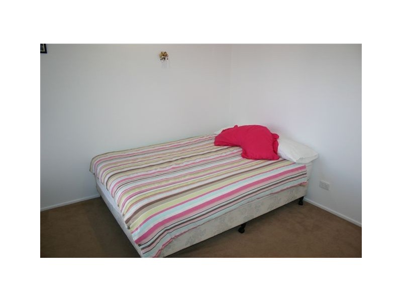 46 Sugarglider Street, Pottsville NSW 2489