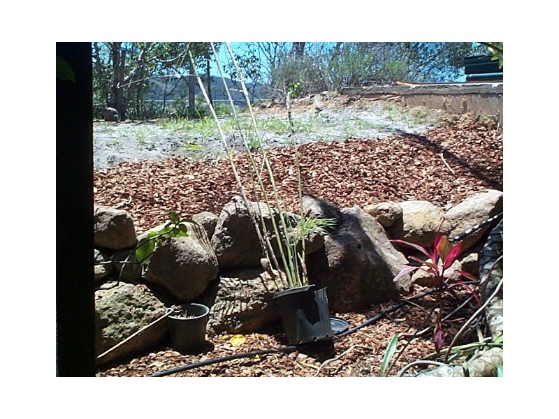 100 Warwick Park Road, Pottsville NSW 2489