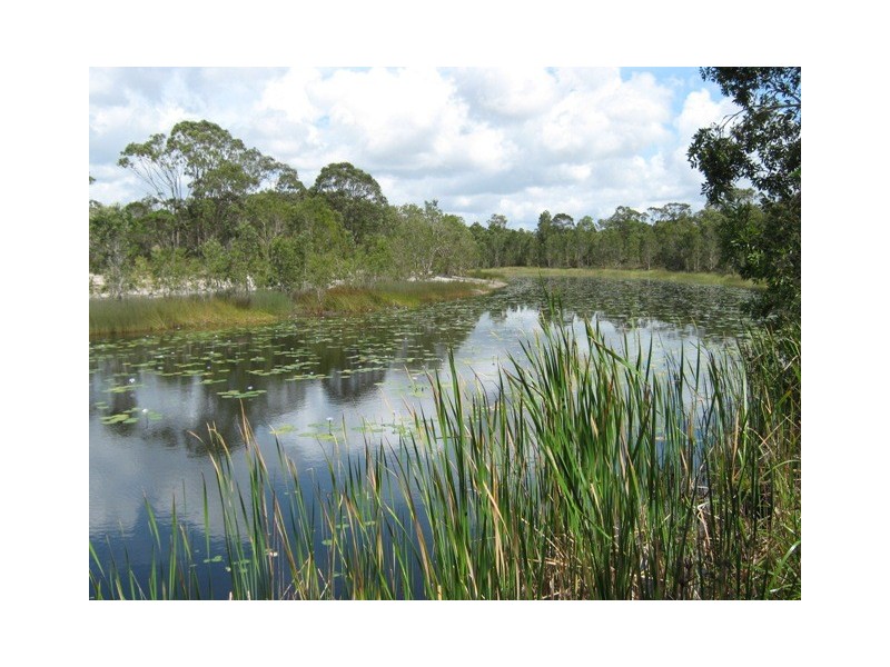 12 Caroline Street, Pottsville NSW 2489