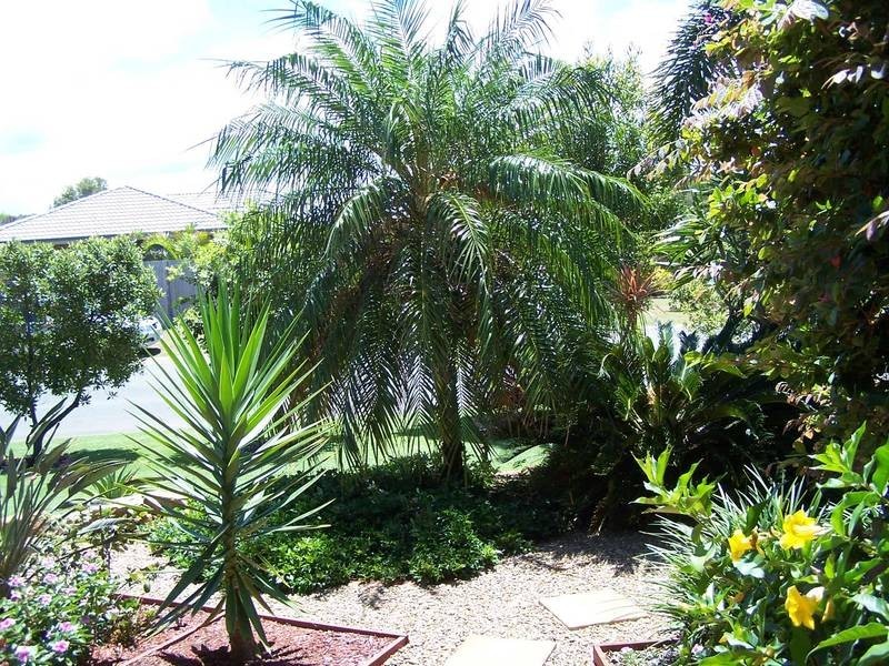 19 Taylor Drive, Pottsville NSW 2489