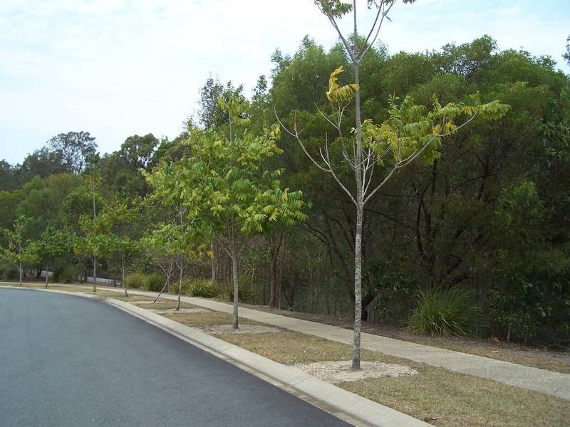 41 Korora Parkway, Pottsville NSW 2489