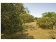 11 Elfran Avenue, Pottsville NSW 2489