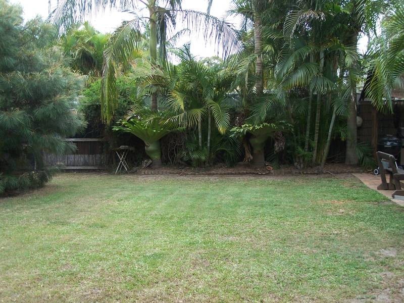 37 Mckenzie Avenue, Pottsville NSW 2489