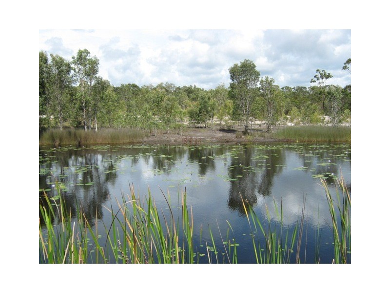 12 Caroline Street, Pottsville NSW 2489