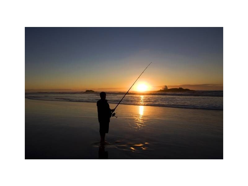 35 Kellehers Rd, Pottsville NSW 2489